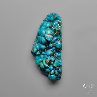 Botryoidal Chrysocolla