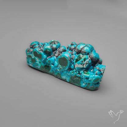 Botryoidal Chrysocolla