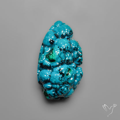Botryoidal Chrysocolla