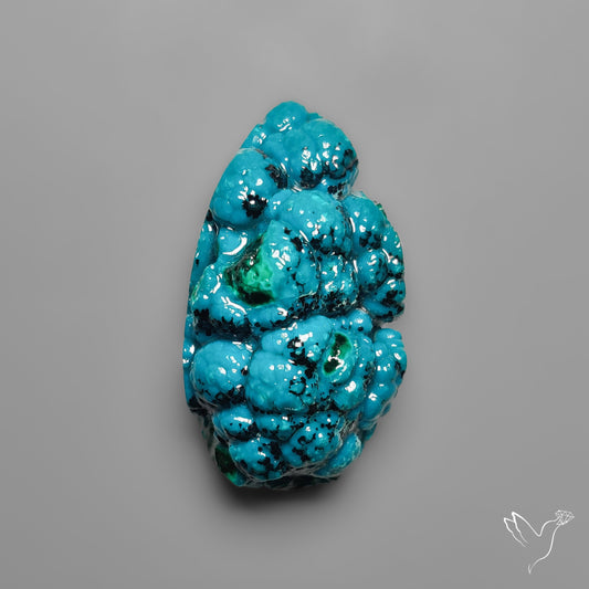 Botryoidal Chrysocolla