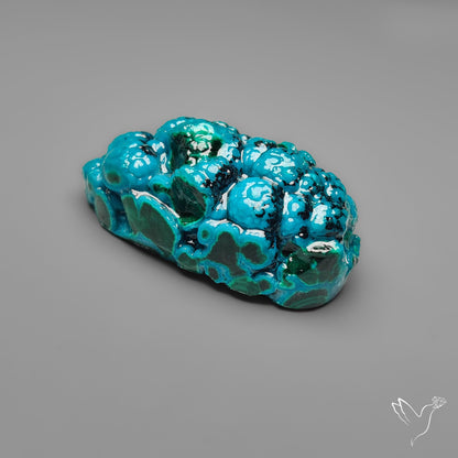 Botryoidal Chrysocolla