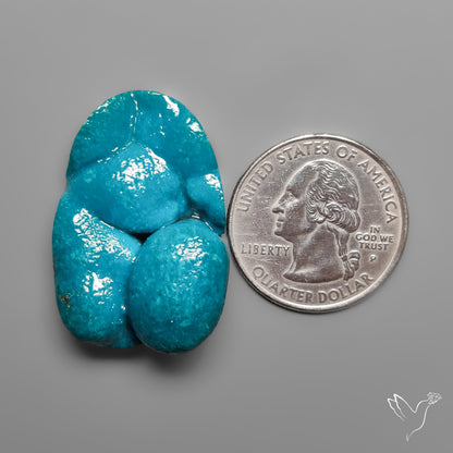 Botryoidal Chrysocolla