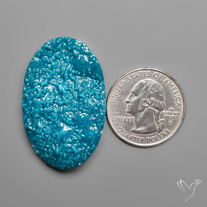 Botryoidal Chrysocolla