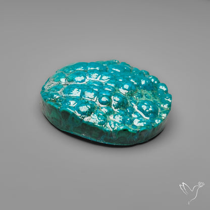 Botryoidal Chrysocolla