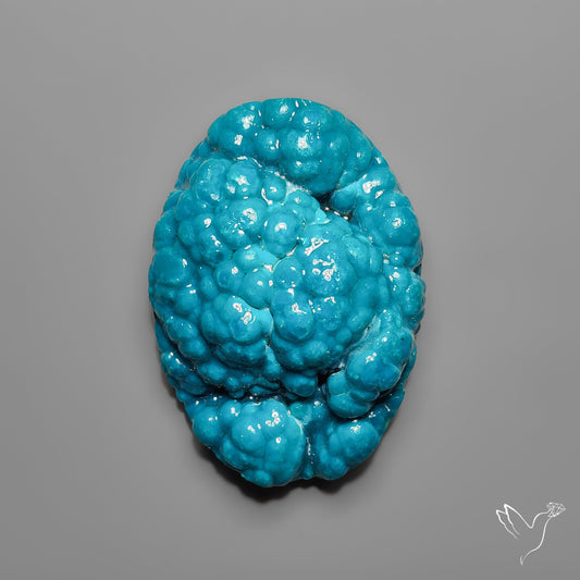 Botryoidal Chrysocolla