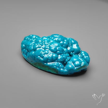 Botryoidal Chrysocolla