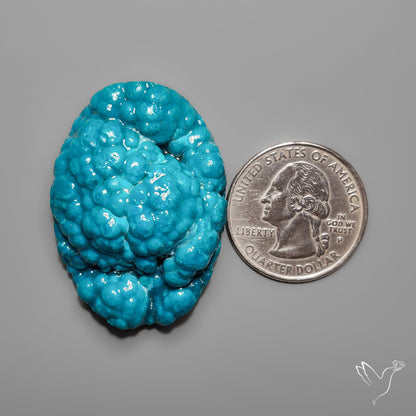 Botryoidal Chrysocolla