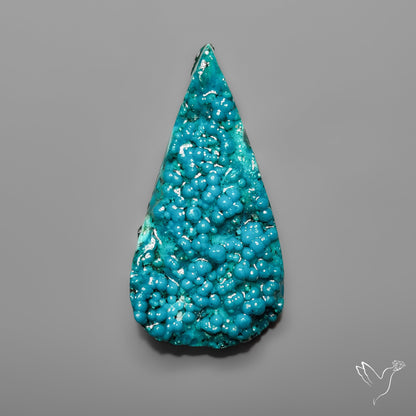 Botryoidal Chrysocolla