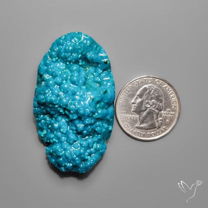 Botryoidal Chrysocolla