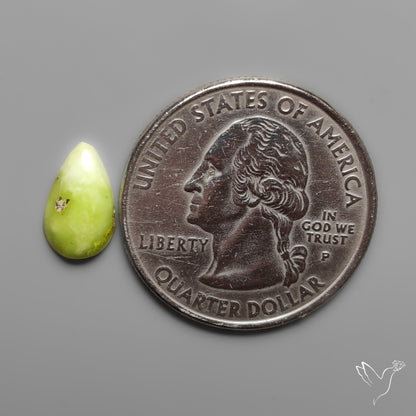 Rare Palomino Turquoise Cabochon