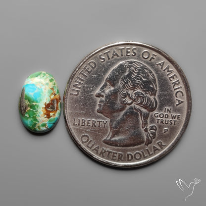 Sonoran Gold Turquoise Cabochon