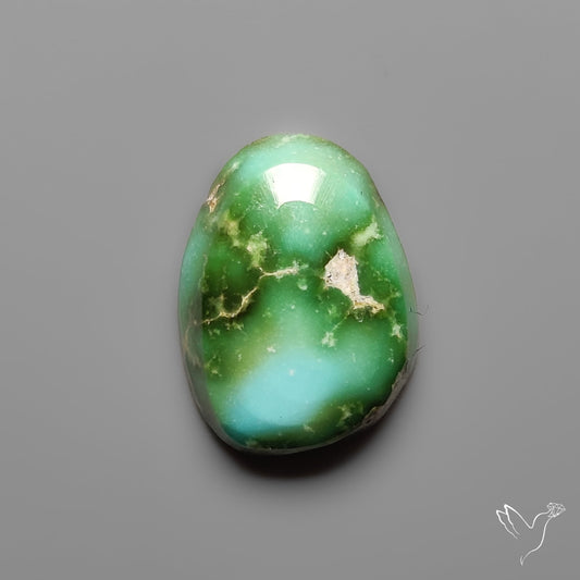 Sonoran Gold Turquoise Cabochon