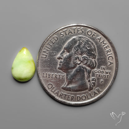 Palomino Turquoise Cabochon