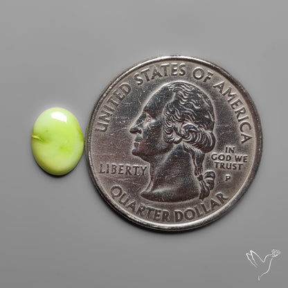 Palomino Turquoise Cabochon