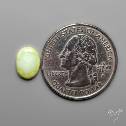 Palomino Turquoise Cabochon