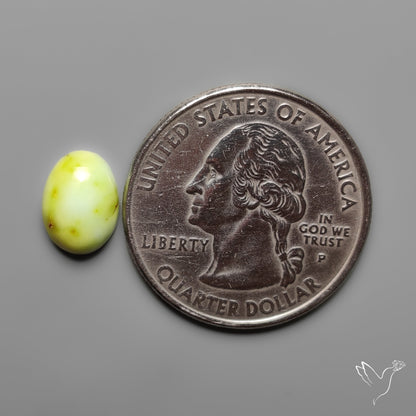 Palomino Turquoise Cabochon