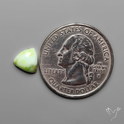 Palomino Turquoise Cabochon