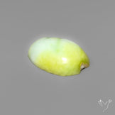 Palomino Turquoise Cabochon