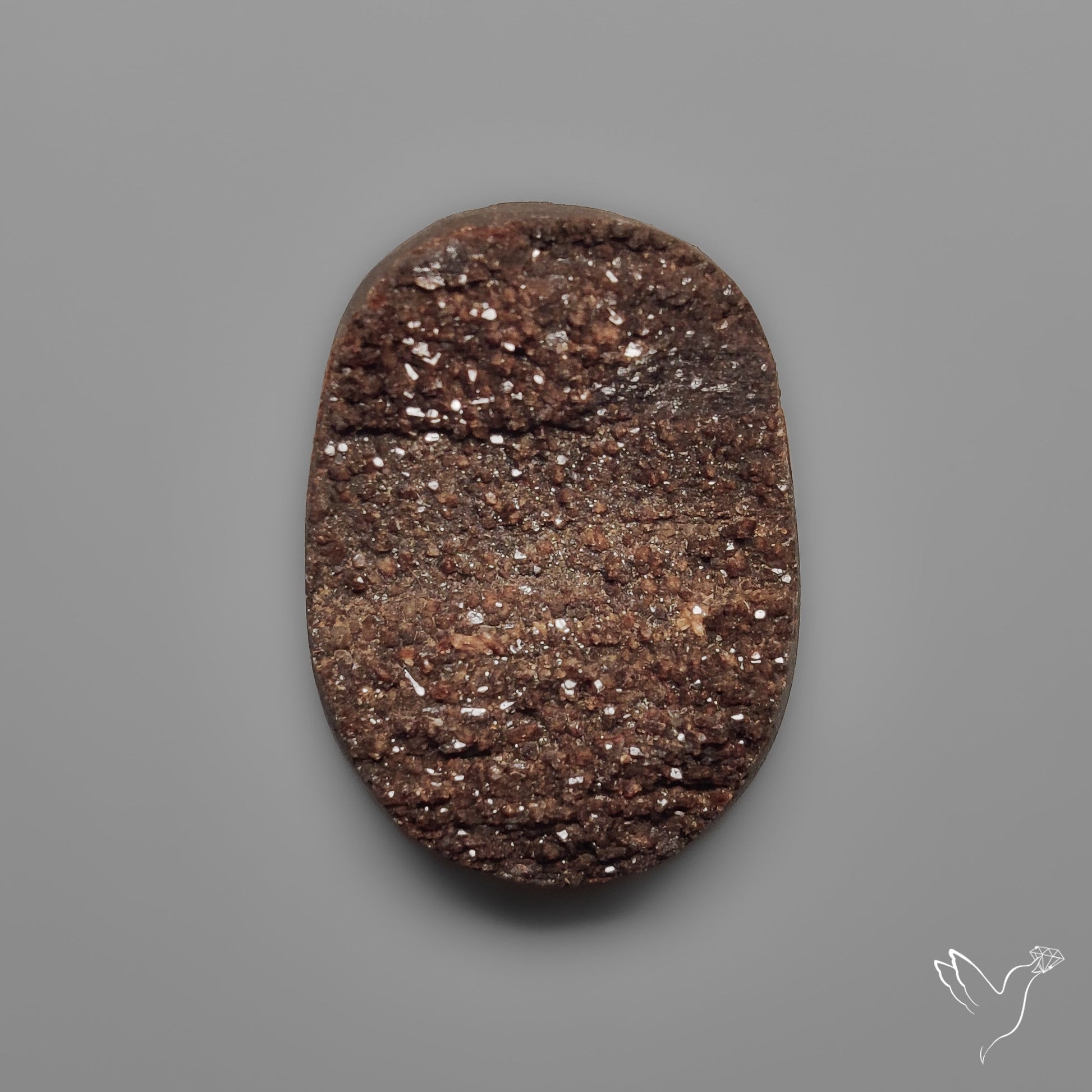 Arizona Petrified Wood Druzy