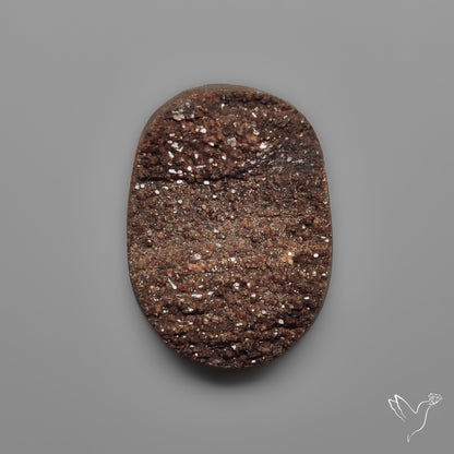 Arizona Petrified Wood Druzy