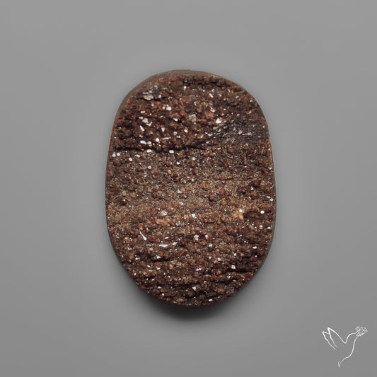 Arizona Petrified Wood Druzy