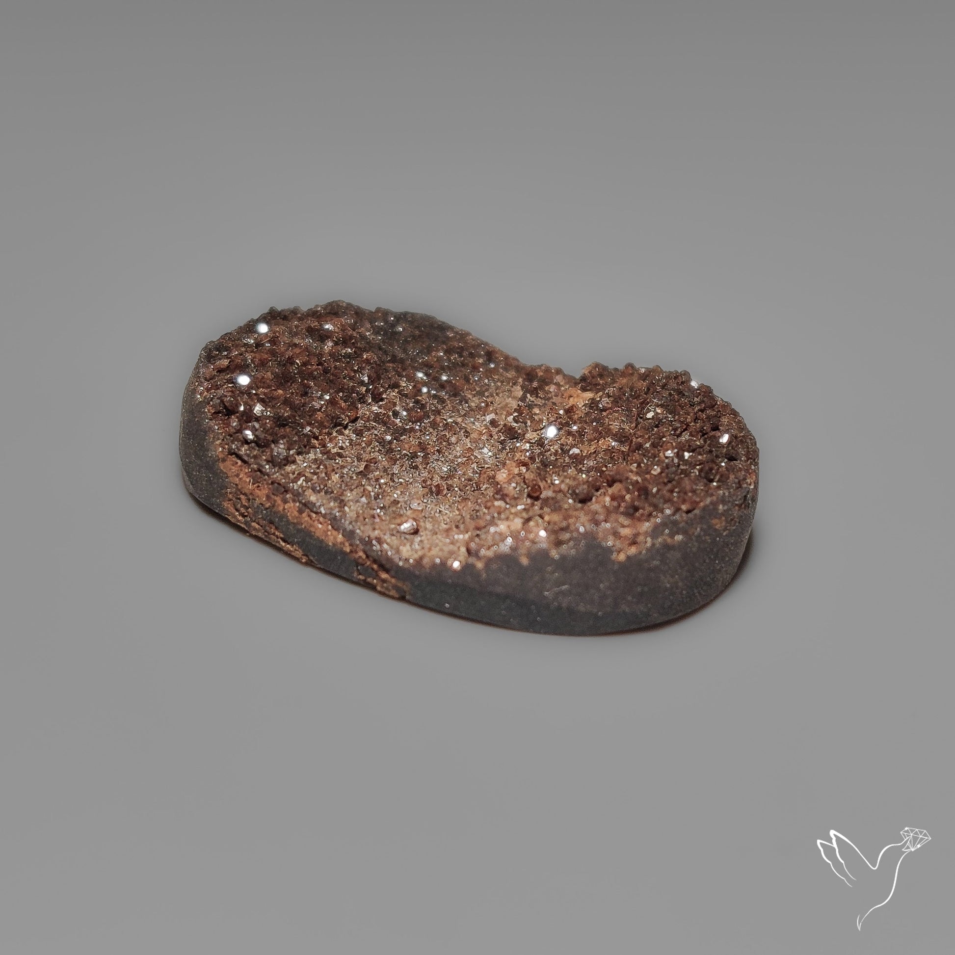 Arizona Petrified Wood Druzy