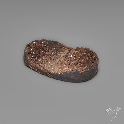 Arizona Petrified Wood Druzy