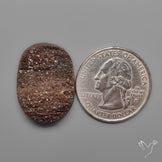 Arizona Petrified Wood Druzy