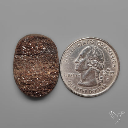 Arizona Petrified Wood Druzy