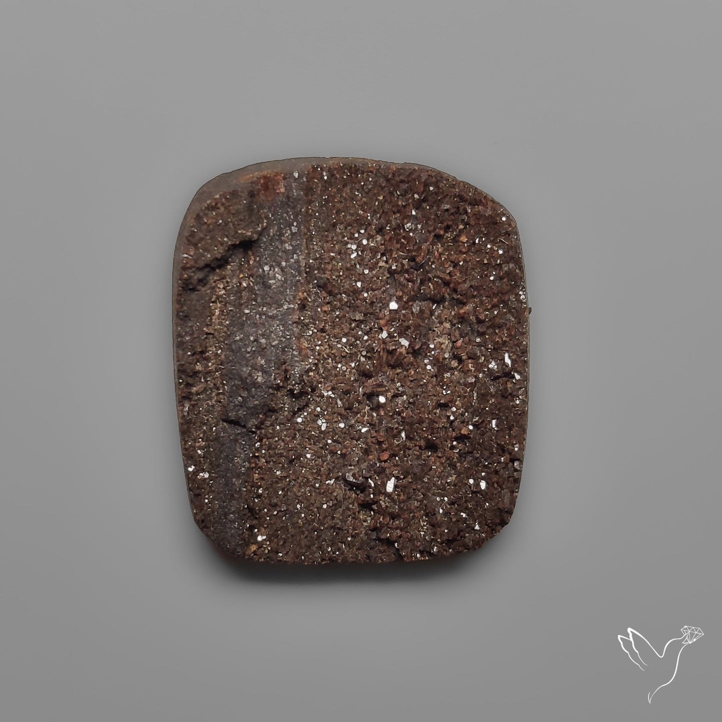 Arizona Petrified Wood Druzy