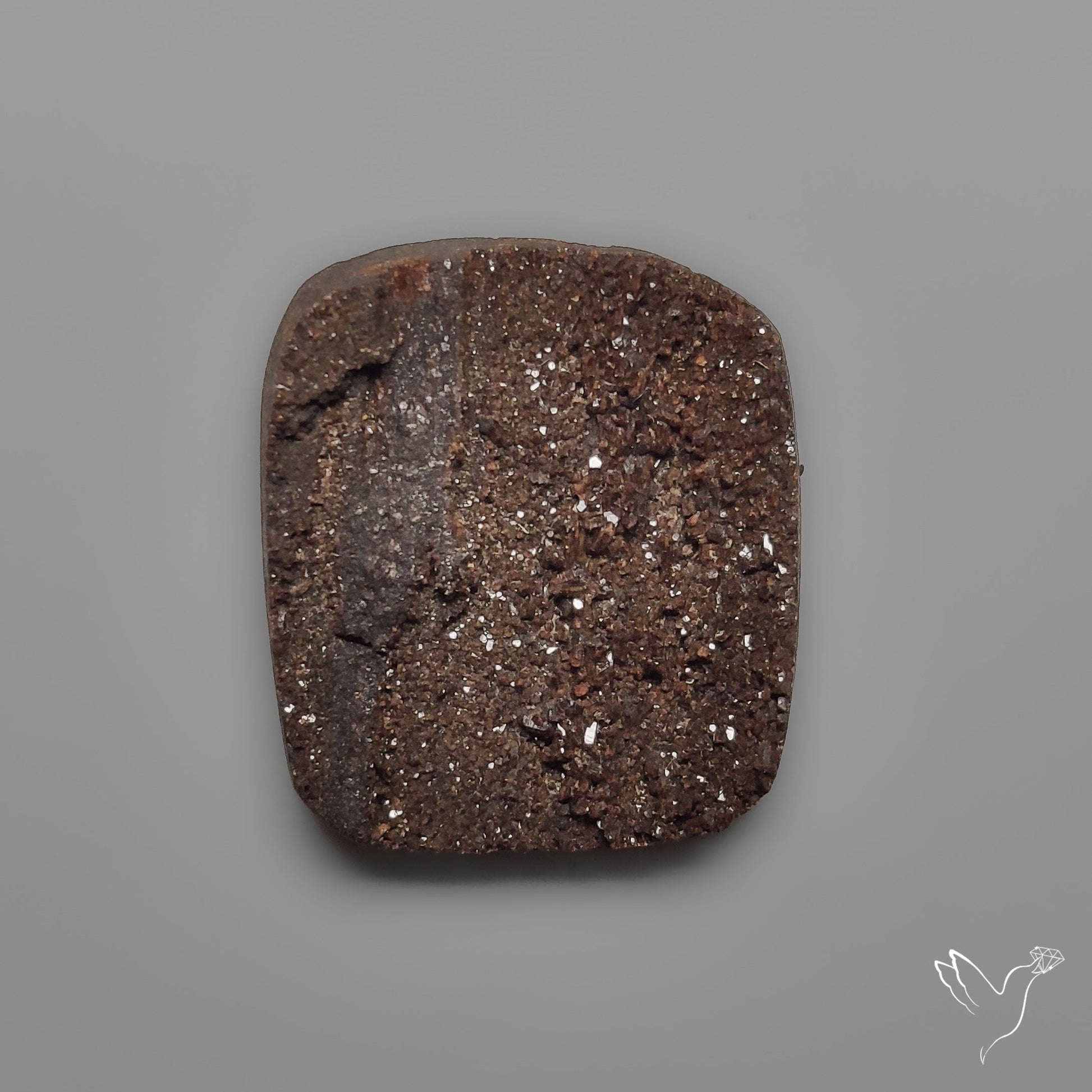 Arizona Petrified Wood Druzy