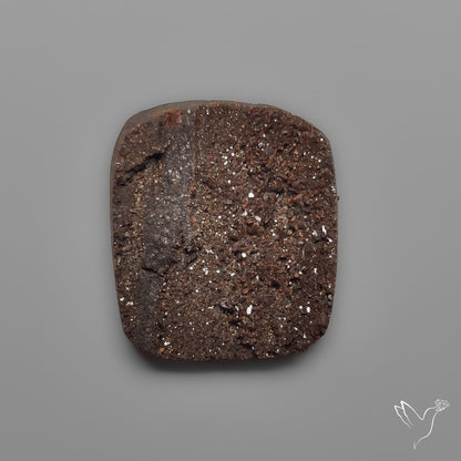 Arizona Petrified Wood Druzy