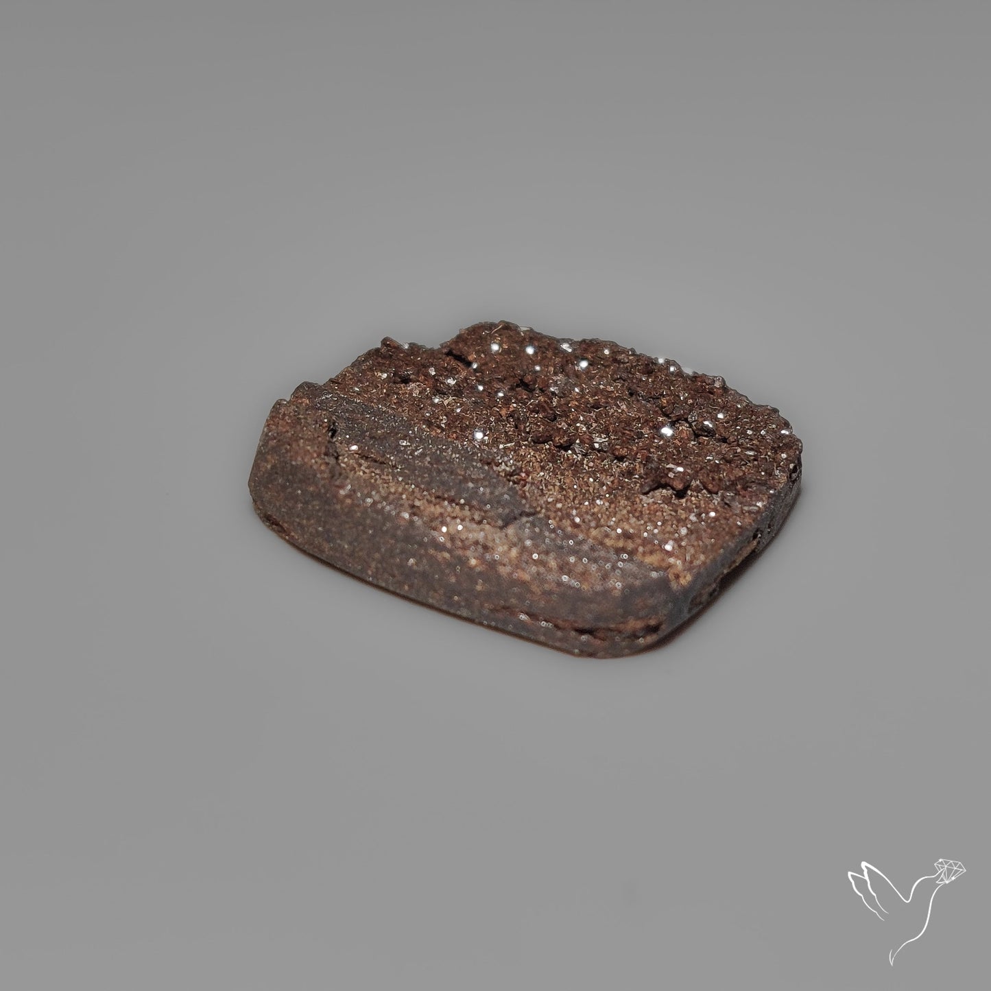 Arizona Petrified Wood Druzy