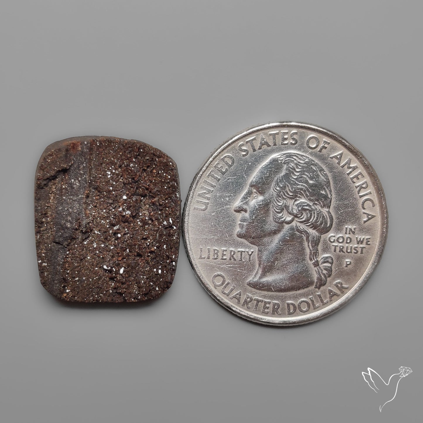 Arizona Petrified Wood Druzy