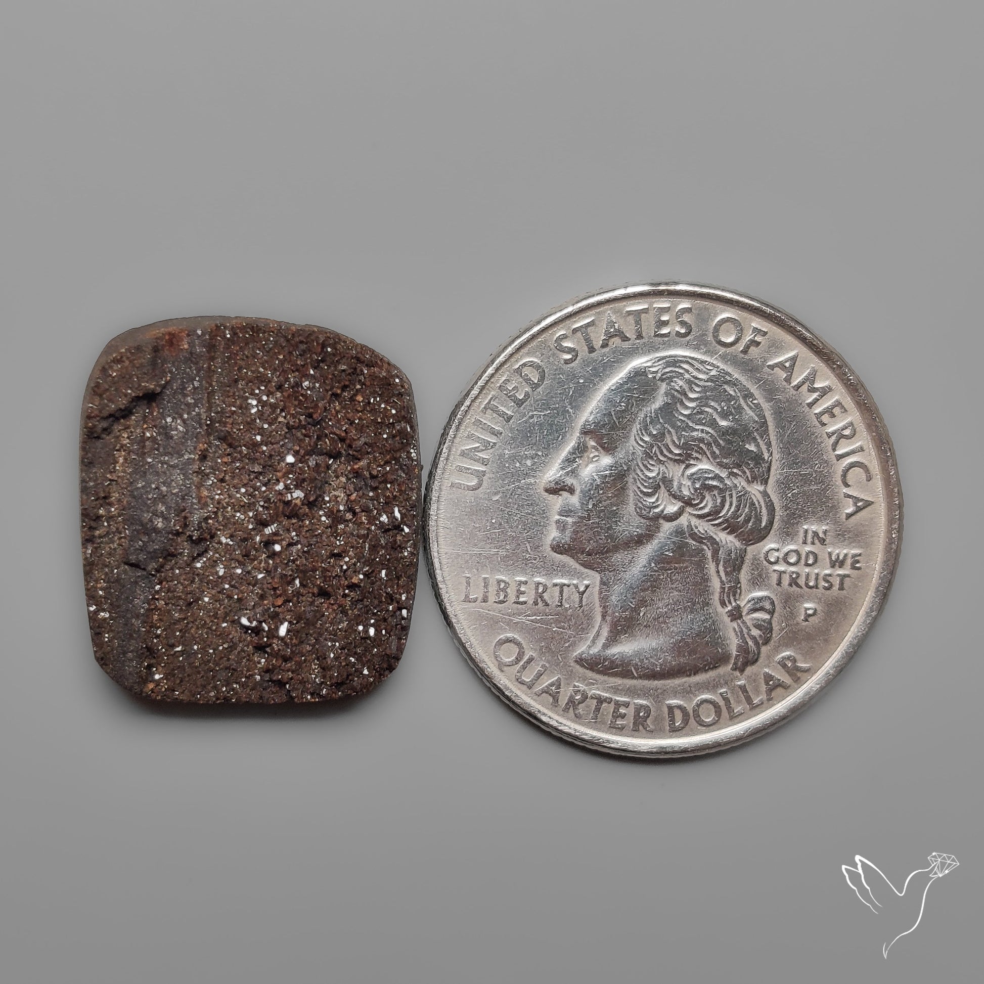 Arizona Petrified Wood Druzy