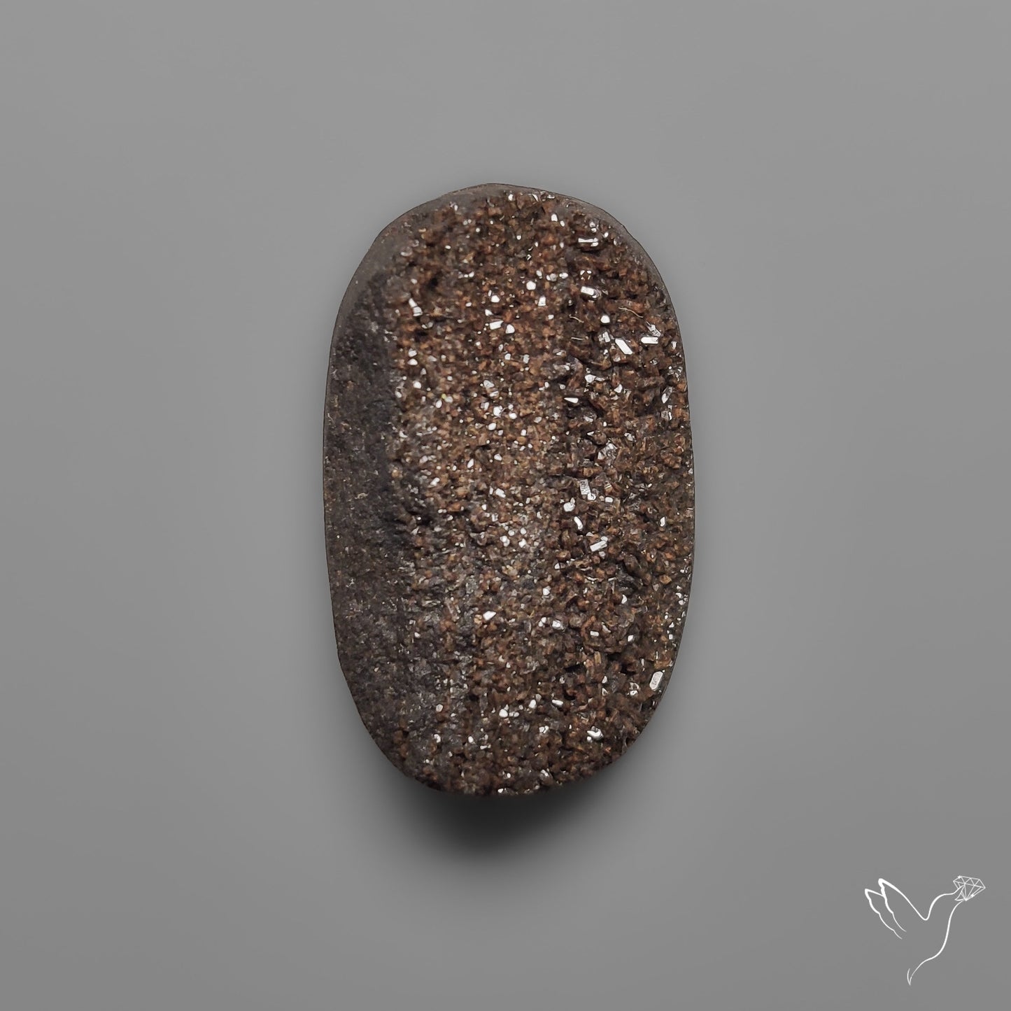 Arizona Petrified Wood Druzy