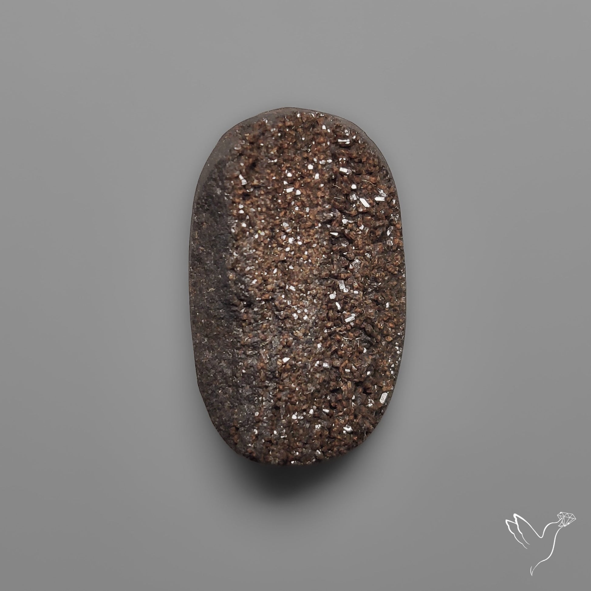 Arizona Petrified Wood Druzy