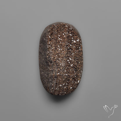 Arizona Petrified Wood Druzy