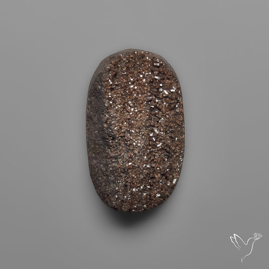 Arizona Petrified Wood Druzy