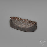 Arizona Petrified Wood Druzy