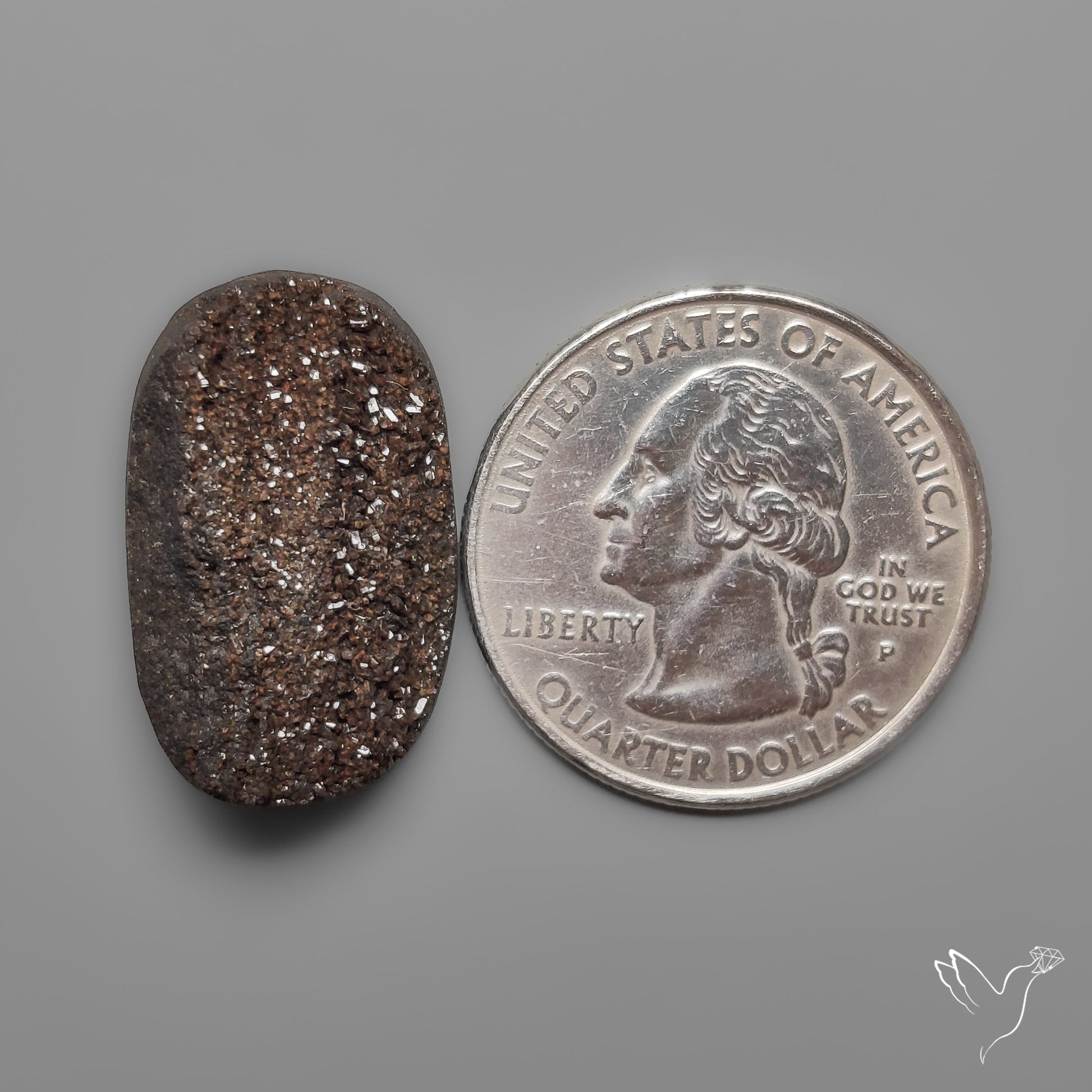 Arizona Petrified Wood Druzy