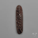 Arizona Petrified Wood Druzy