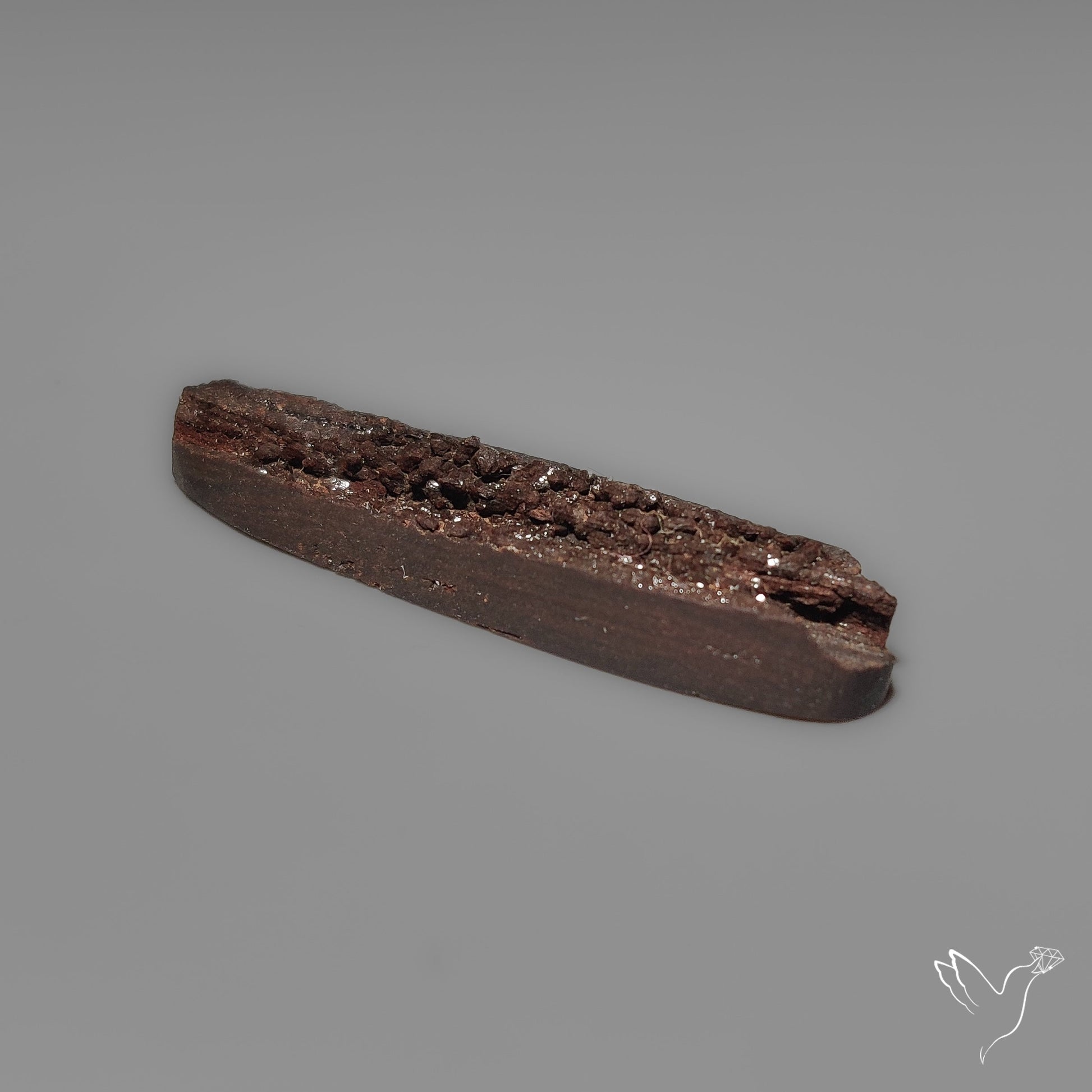 Arizona Petrified Wood Druzy