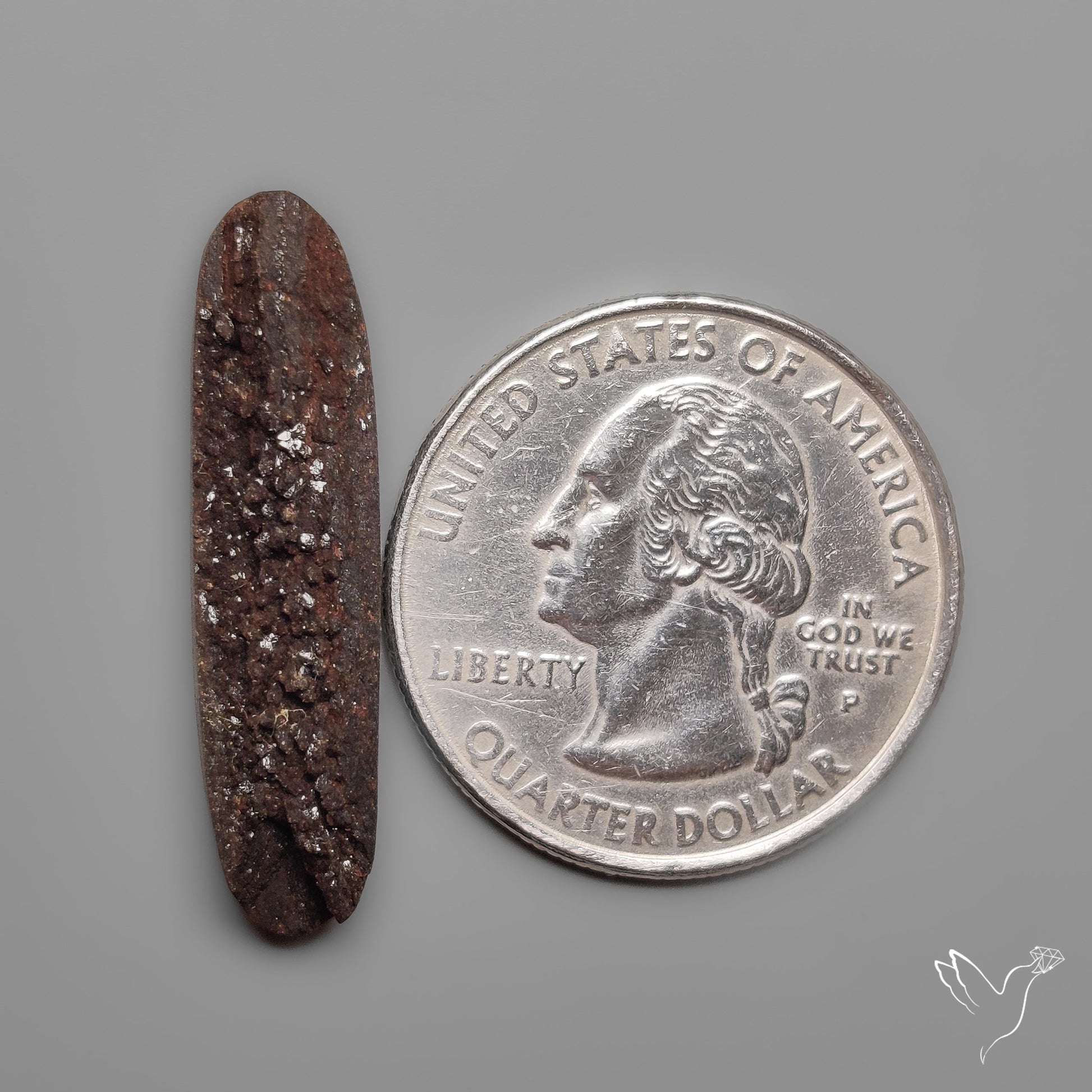 Arizona Petrified Wood Druzy