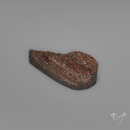 Arizona Petrified Wood Druzy