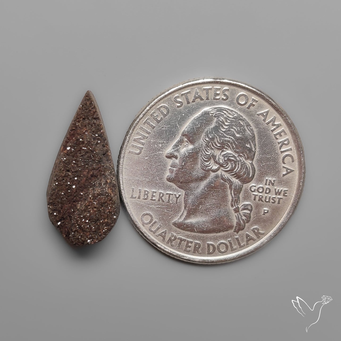 Arizona Petrified Wood Druzy