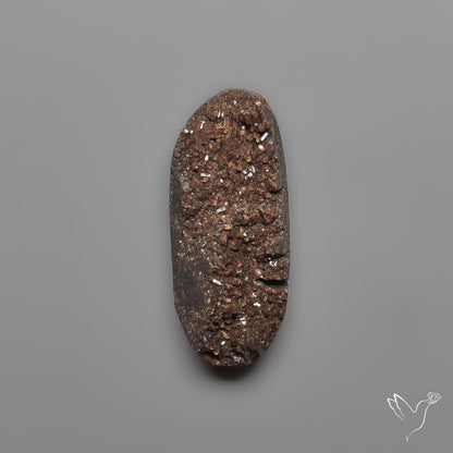 Arizona Petrified Wood Druzy