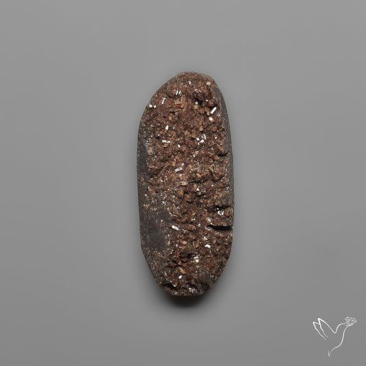 Arizona Petrified Wood Druzy