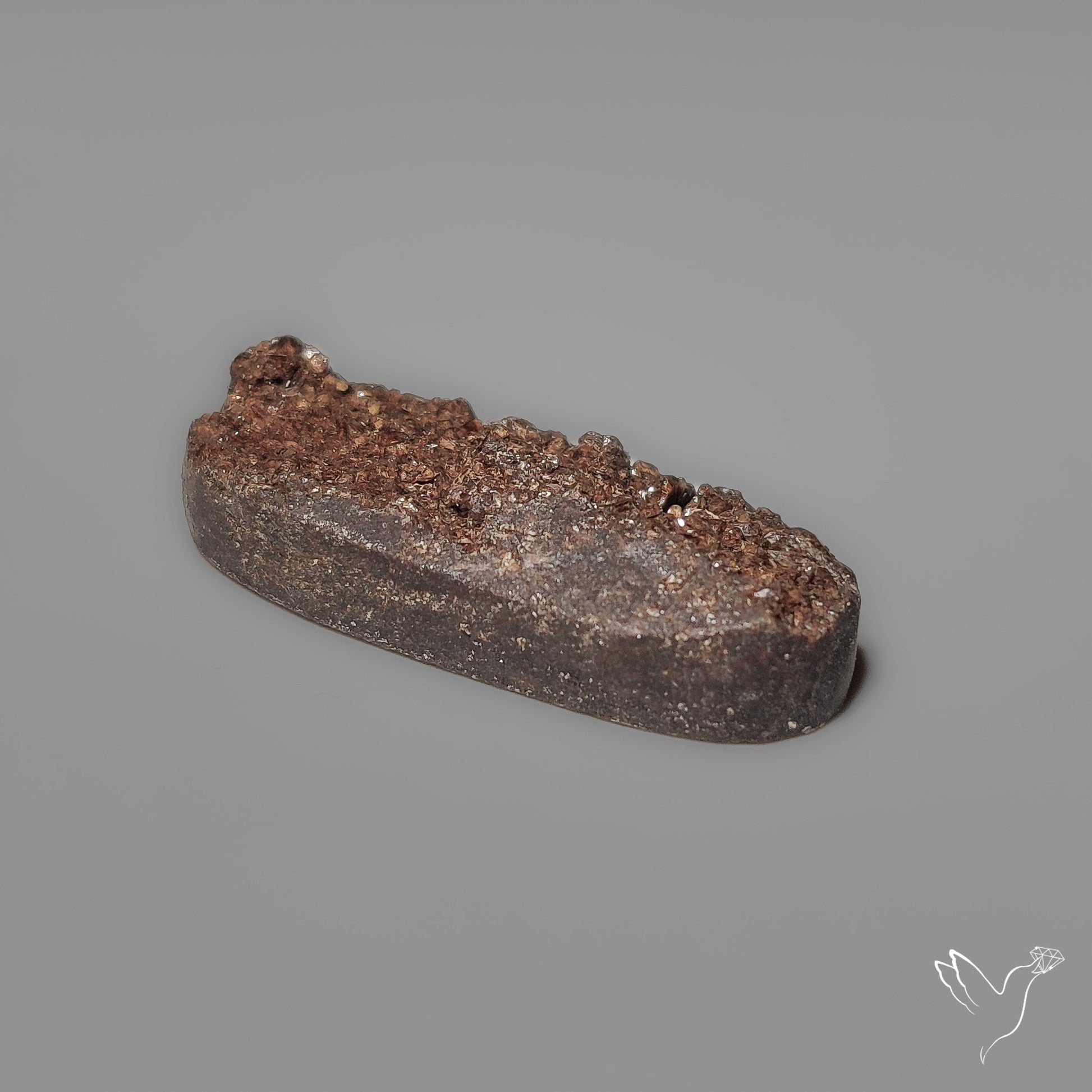 Arizona Petrified Wood Druzy