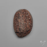 Arizona Petrified Wood Druzy